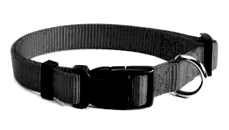 Camon  Kutya Nyakörv Nylon Fekete 1,2x20-25c m