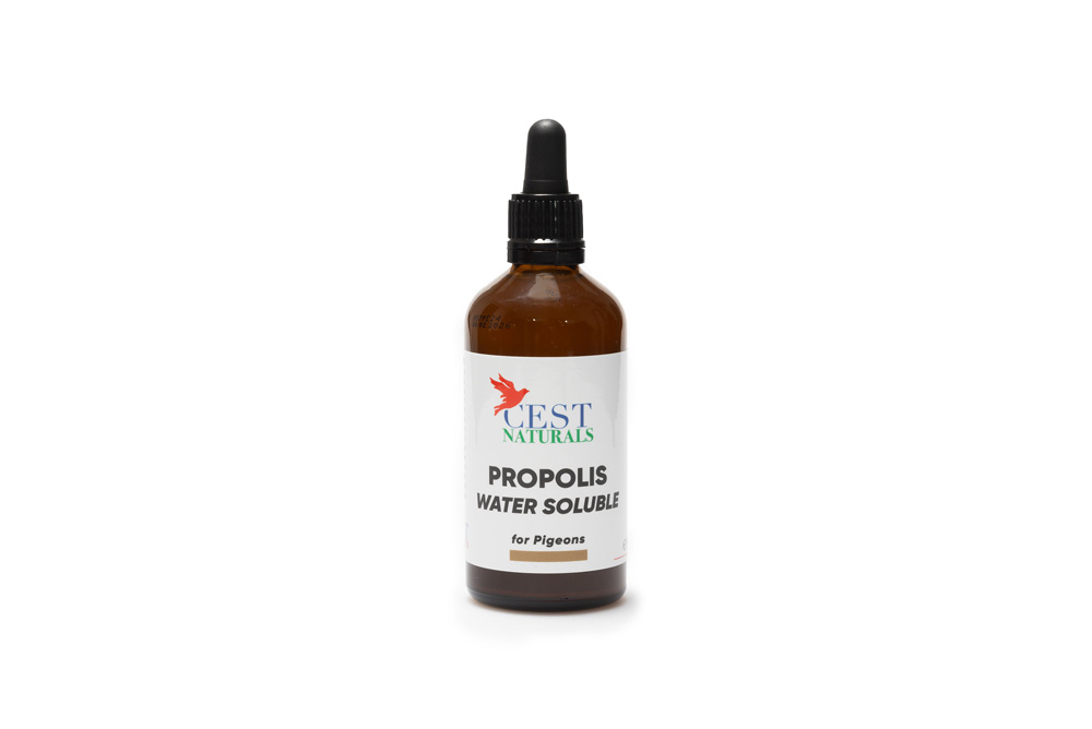 Cest Naturals Propolis 100 ml